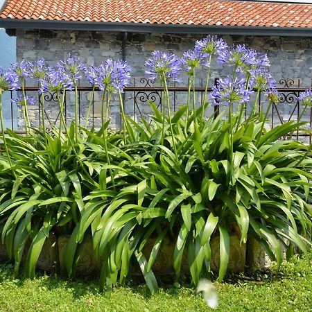 Casa Giardino Fiorito Apartment Сан Сиро Екстериор снимка